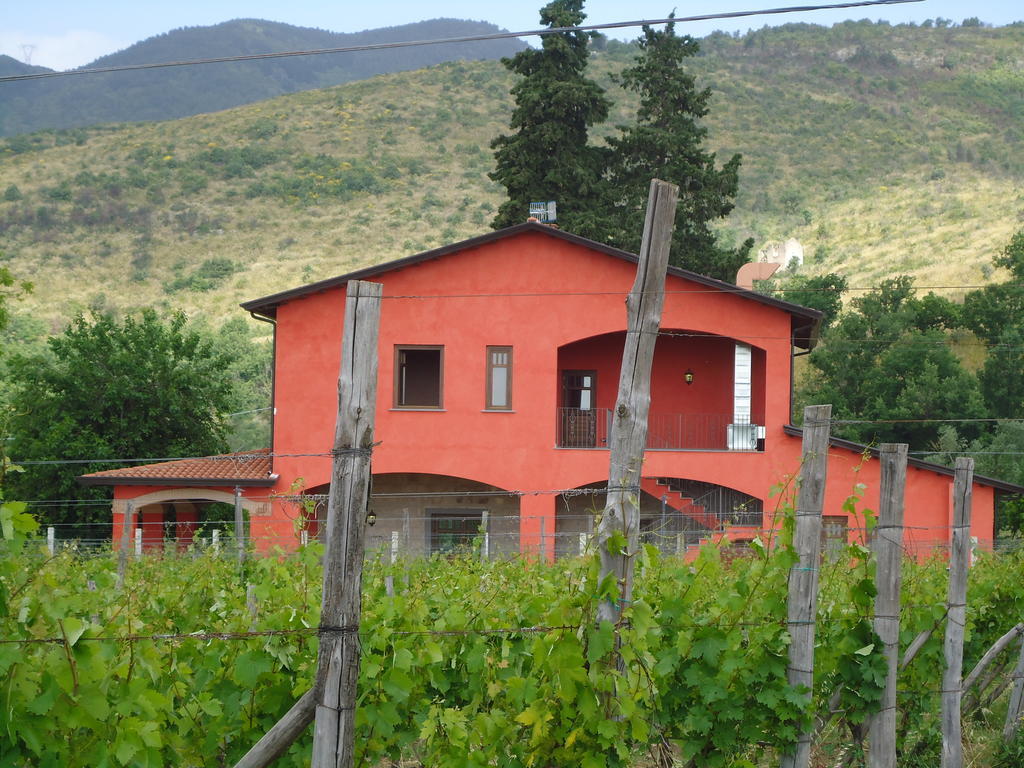Agrituirsmo Masseria Campierti Falciano del Massico المظهر الخارجي الصورة